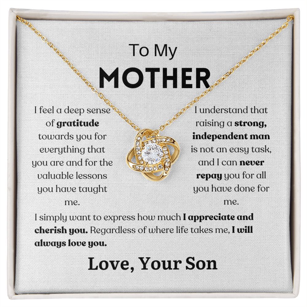 Mother - I Can Never Repay You